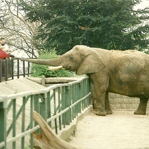 Flossie 5th April 1997