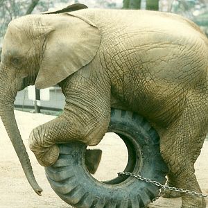 Kasama 5th April 1997