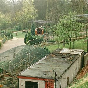 General view of area approaching Barbary Sheep 5th April 1997