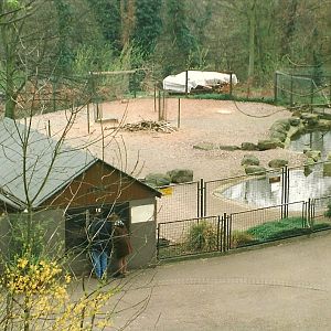 Tapir, Capybara and Patagonian Cavy exhibit 5th April 1997