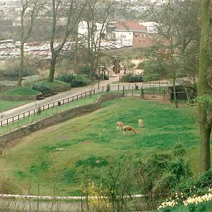 Site of old Bear Ravine 5th April 1997