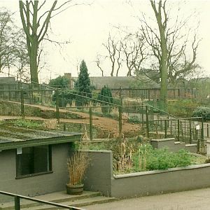 My favourite area of the zoo 5th April 1997
