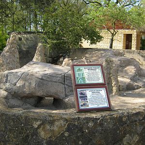 Meerkat/Porcupine enclosure
