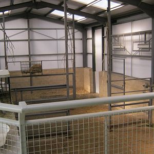 Giraffe internal housing 2012