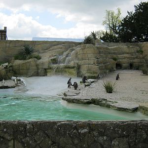 Walled Garden Penguin enclosure