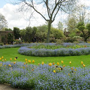 The walled garden 2012