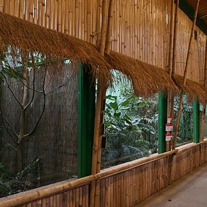 Inside Indian-rhinoceros pavilion