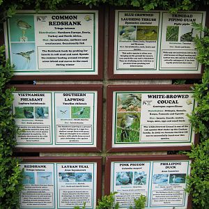 Walk-Through Aviary Signage.