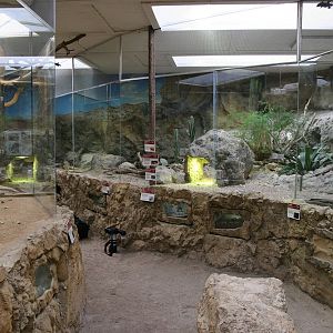 North American pavilion