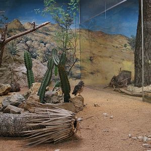 North American pavilion