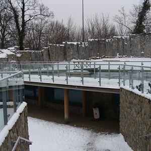 Swimming pool of fur seals