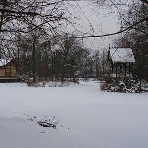 Winter in the zoo