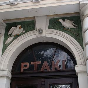 Entry to the pavilion of birds