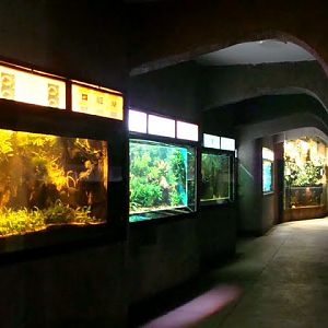 Inside of the pavilion of the Aquarium