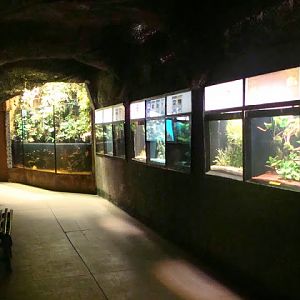 Inside of the pavilion of the Aquarium