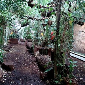 Inside of the pavilion of monkeys