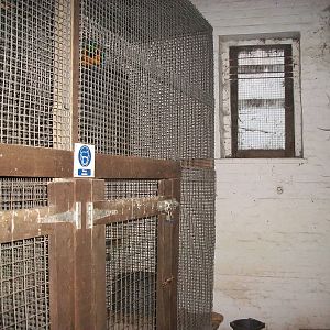 Sewerby Zoo, where the Bear snuffled 20th January 2013