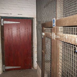 Sewerby Zoo, where the Bear snuffled 20th January 2013