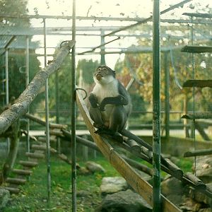 Joe 26th October 1996