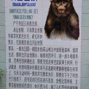 Signage: Yunnan Snub-nosed monkey (Rhinopithecus bieti)