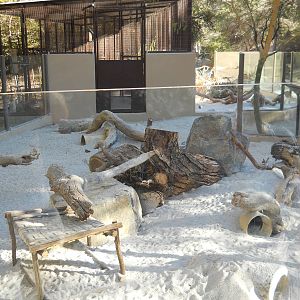 Full view of new meerkat exhibit