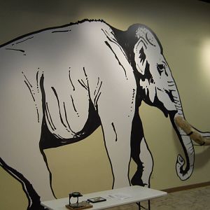 Discovery Center mammoth tusk