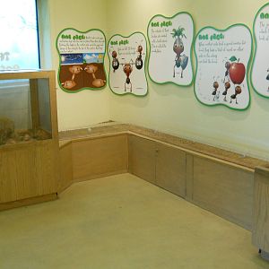 Discovery Center Ant Lab