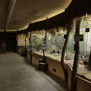 Pavilion for nocturnal animals