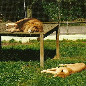 Carlon and Rhoda 19th July 1997