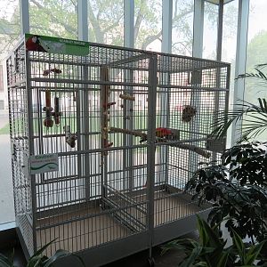 East Entrance Pavilion - Scarlet Macaw Exhibit