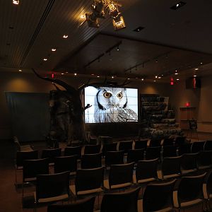 East Entrance Pavilion - FliteZone Interior