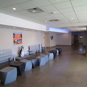 East Entrance Pavilion - Pengiun Point Viewing Area