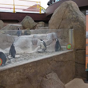 Penguin Point - Exterior