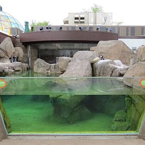 Penguin Point - Exterior