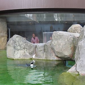 Penguin Point - Exterior