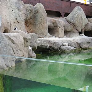 Penguin Point - Exterior