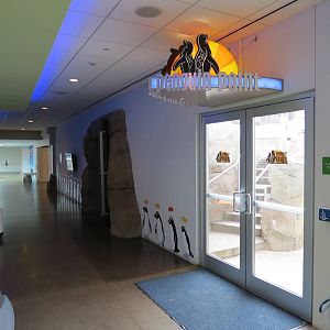 Penguin Point - Entrance to Exterior