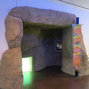 Penguin Point - Interior Niche Viewing Area