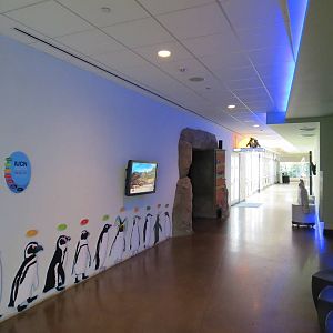 Penguin Point - Hallway
