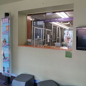Bird Hospital Viewing Window