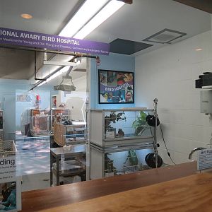 Bird Hospital Interior
