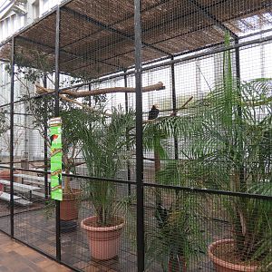 Wetlands - Rhinoceros Hornbill Exhibit