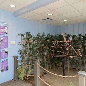 Grasslands - Interior and African Grey Parrot Perch