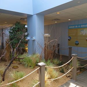 Grasslands - Interior