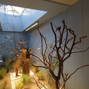 Grasslands - Interior