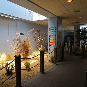 Grasslands - Interior