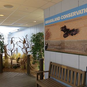 Grasslands - Interior