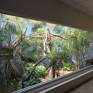 Cloud Forest - Viewing Window