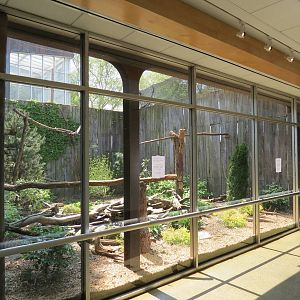 Stellar's Sea Eagle Exhibit