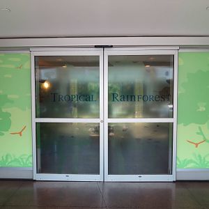 Tropical Rainforest - Entrance